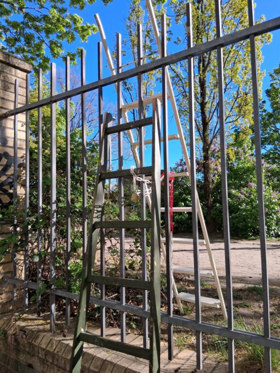 Zwei Leitern lehnen von beiden Seiten an einem hohen Metallzaun im Görlitzer Park, offenbar zum Überklettern genutzt.